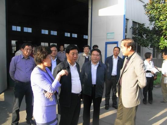 洛陽市委副書記、市長李柳身蒞臨公司調(diào)研機器人軸承項目